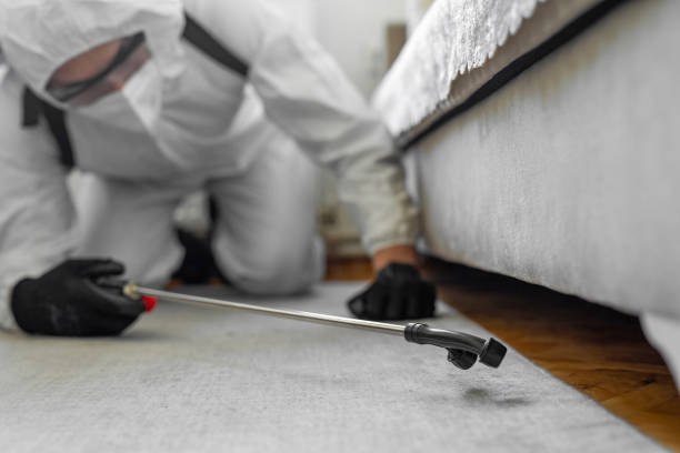 Professional Cockroach Control technician working in Rochester, WI